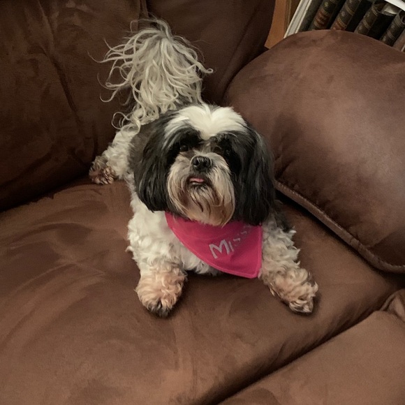 Meet your Posher, Robin - Picture 1 of 1